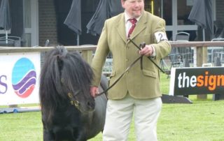 Harry Sleigh Horse Breeder of the Year