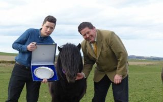 Special Aberdeenshire prize Royal Highland Show Wells Shetland Pony Stud Winner